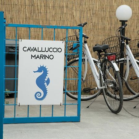 Cavalluccio Marino Apartment Favignana Luaran gambar